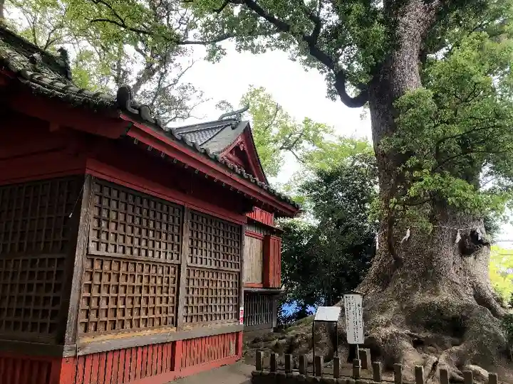 剣柄稲荷神社の自然