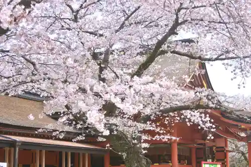 富士山本宮浅間大社(静岡県)
