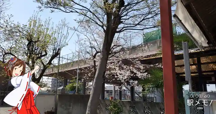 上小松天祖神社の自然