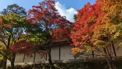 二尊院(京都府)