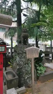 三島神社の狛犬