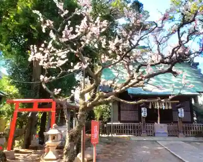 田端神社(東京都)