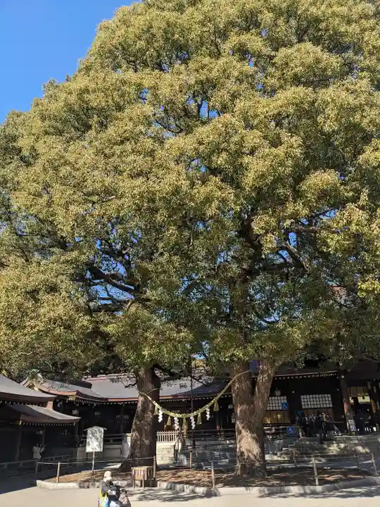 明治神宮(東京都)