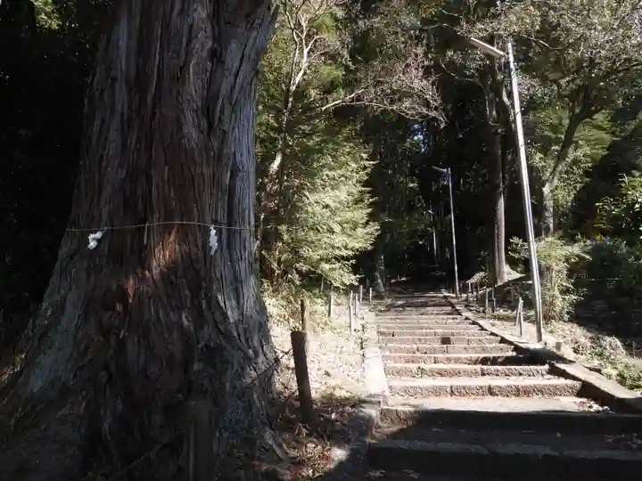 八幡神社(岐阜県)