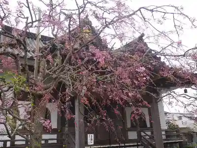 妙隆寺のその他建物