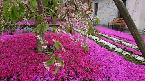 寿量山　速成寺の庭園