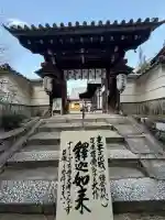 戒光寺(戒光律寺)の{uncategorized: "未分類", other: "その他", undefined: "問題あり", building: "その他建物", grave: "お墓", sacred_gate: "鳥居", guardian: "狛犬", statue: "像", buddha: "仏像", history: "歴史", nature: "自然", garden: "庭園", animal: "動物", pagoda: "塔", temizu: "手水舎", mountain_gate: "山門・神門", sanctuary: "本殿・本堂", subordinate: "末社・摂社", art: "芸術", scenery: "景色", jizo: "地蔵", ema: "絵馬", goshuin: "御朱印", omikuji: "おみくじ", items: "授与品その他", amulet: "お守り", goshuincho: "御朱印帳", eats: "食事", festival: "お祭り", votive_dance: "神楽", shichigosan: "七五三参", wedding: "結婚式", experience: "体験その他", initially: "初詣", around: "周辺", anti_infection: "感染症対策"}