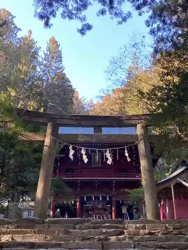 花園神社の鳥居