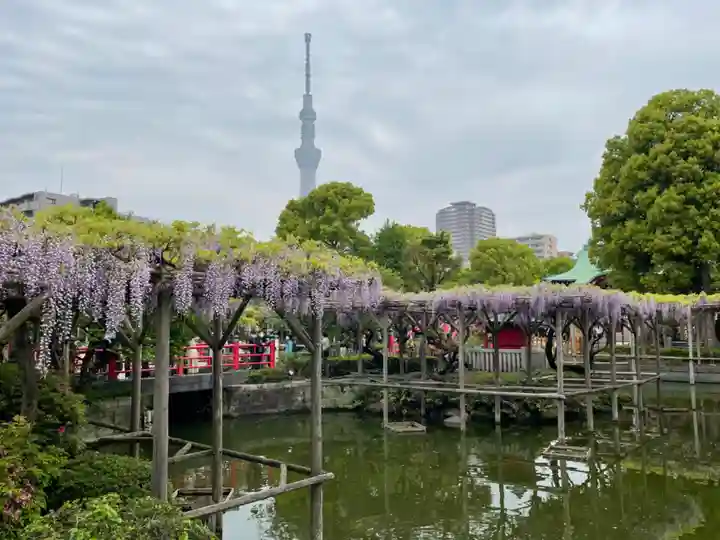 亀戸天神社の庭園
