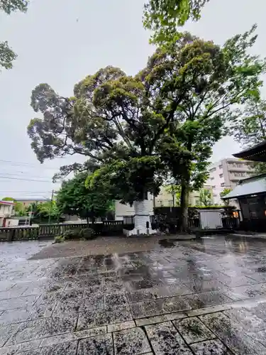 八幡大神社(東京都)