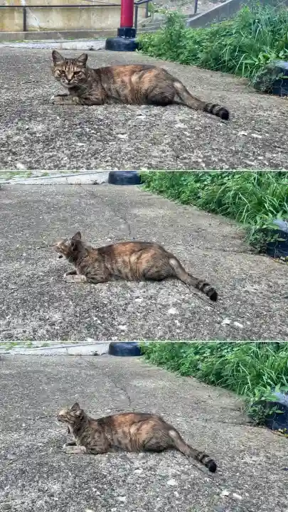入舟稲荷神社(北海道)