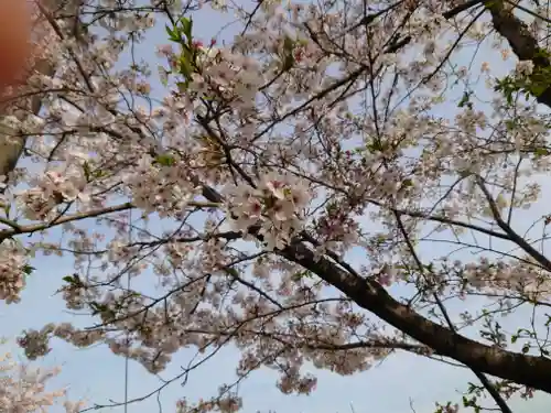 岐阜護國神社(岐阜県)