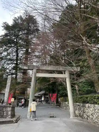 椿大神社の{uncategorized: "未分類", other: "その他", undefined: "問題あり", building: "その他建物", grave: "お墓", sacred_gate: "鳥居", guardian: "狛犬", statue: "像", buddha: "仏像", history: "歴史", nature: "自然", garden: "庭園", animal: "動物", pagoda: "塔", temizu: "手水舎", mountain_gate: "山門・神門", sanctuary: "本殿・本堂", subordinate: "末社・摂社", art: "芸術", scenery: "景色", jizo: "地蔵", ema: "絵馬", goshuin: "御朱印", omikuji: "おみくじ", items: "授与品その他", amulet: "お守り", goshuincho: "御朱印帳", eats: "食事", festival: "お祭り", votive_dance: "神楽", shichigosan: "七五三参", wedding: "結婚式", experience: "体験その他", initially: "初詣", around: "周辺", anti_infection: "感染症対策"}