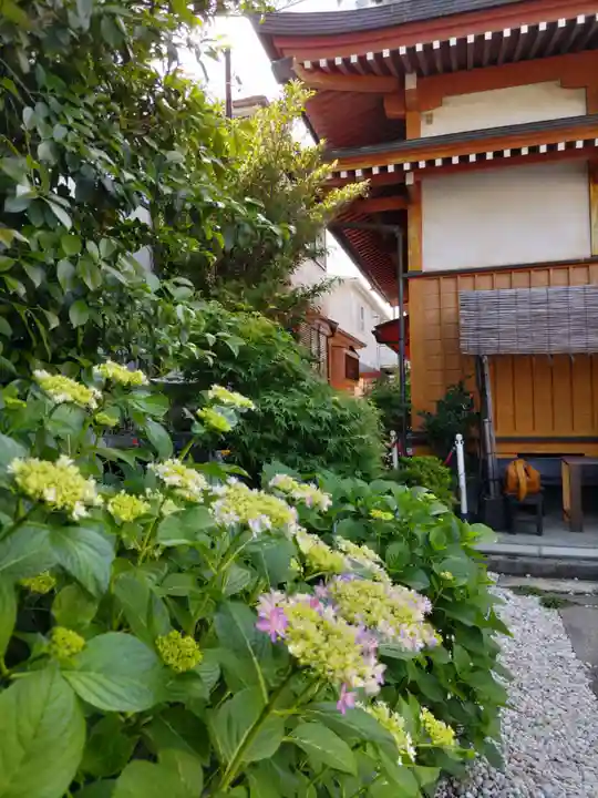 豊受稲荷本宮の自然