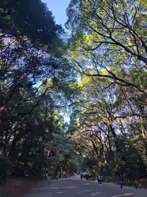 明治神宮(東京都)