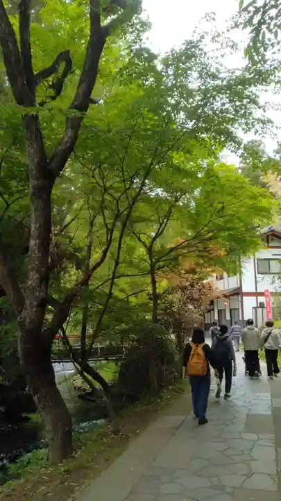 白川吉見神社(熊本県)