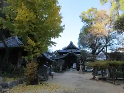 仙遊寺(愛媛県)