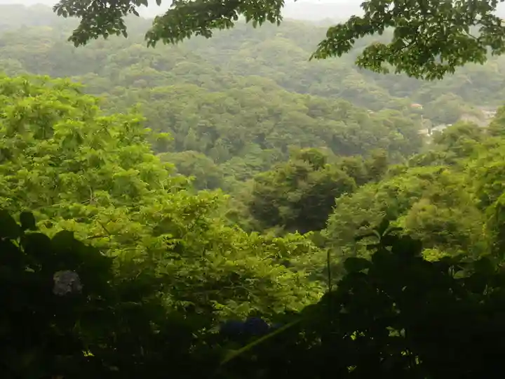 葛原岡神社の自然
