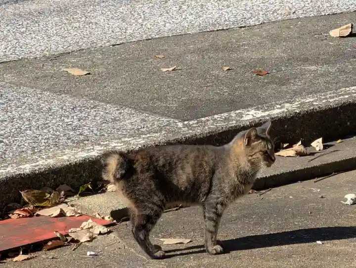 対馬四十四番札所(長崎県)