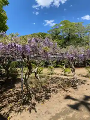鎌数伊勢大神宮(千葉県)