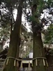 高千穂神社(宮崎県)