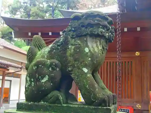 岩槻久伊豆神社の狛犬