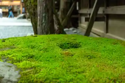 諏訪大社(長野県)