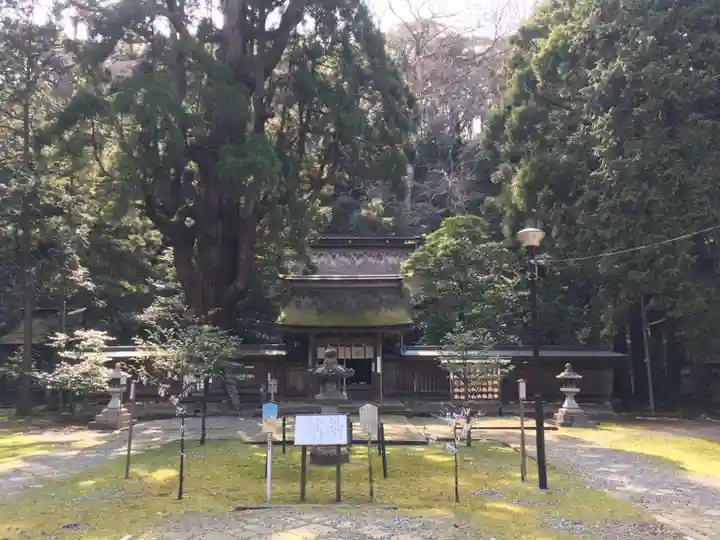 若狭姫神社(若狭彦神社下社)の山門・神門