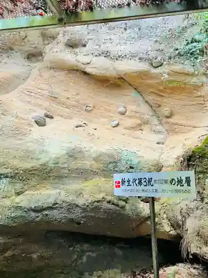 観音院の{uncategorized: "未分類", other: "その他", undefined: "問題あり", building: "その他建物", grave: "お墓", sacred_gate: "鳥居", guardian: "狛犬", statue: "像", buddha: "仏像", history: "歴史", nature: "自然", garden: "庭園", animal: "動物", pagoda: "塔", temizu: "手水舎", mountain_gate: "山門・神門", sanctuary: "本殿・本堂", subordinate: "末社・摂社", art: "芸術", scenery: "景色", jizo: "地蔵", ema: "絵馬", goshuin: "御朱印", omikuji: "おみくじ", items: "授与品その他", amulet: "お守り", goshuincho: "御朱印帳", eats: "食事", festival: "お祭り", votive_dance: "神楽", shichigosan: "七五三参", wedding: "結婚式", experience: "体験その他", initially: "初詣", around: "周辺", anti_infection: "感染症対策"}