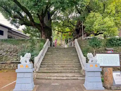 山王神社の狛犬