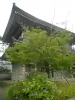 光明寺の山門・神門