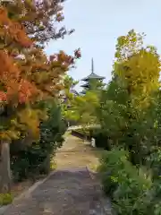 法隆寺(奈良県)