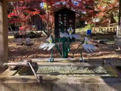 淨眞寺(東京都)