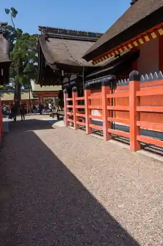 住吉大社(大阪府)