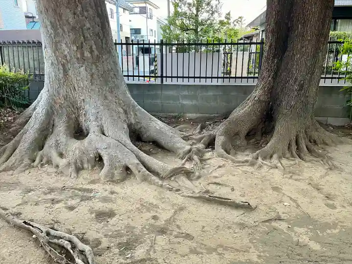 山神神社(埼玉県)