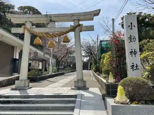 小動神社(神奈川県)