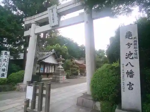 亀ケ池八幡宮の鳥居