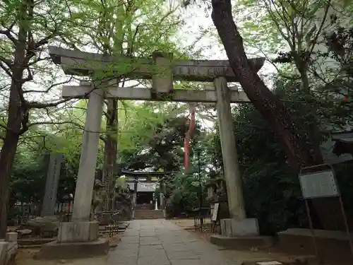 長崎神社の鳥居