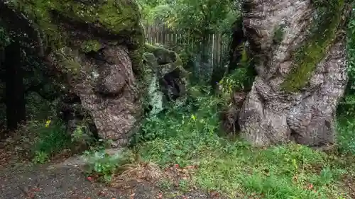 伊勢神宮外宮（豊受大神宮）(三重県)