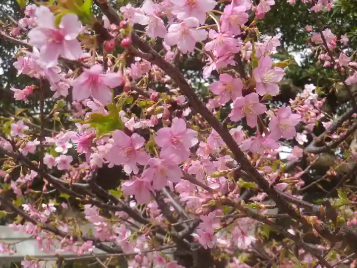 御霊神社の自然