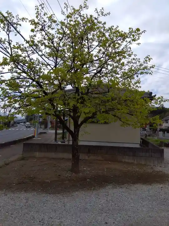 児泉神社(埼玉県)