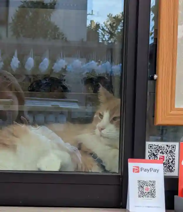駒込妙義神社(東京都)