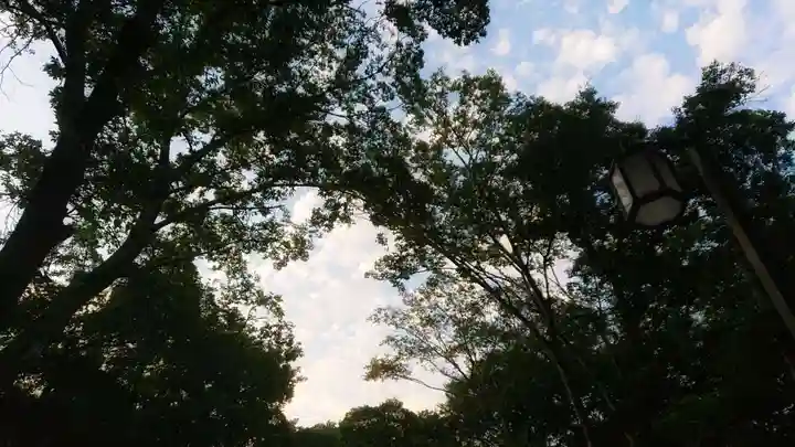 神明社(国府宮神明社)の自然