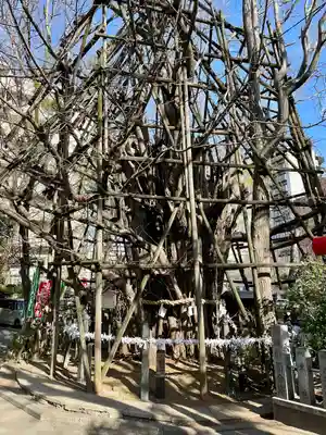 稲毛神社(神奈川県)