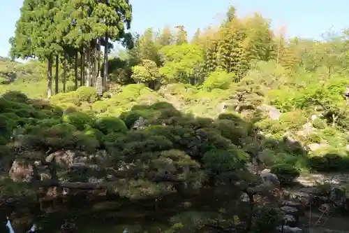 長楽寺の庭園