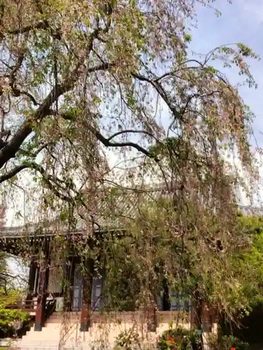 圓照寺(東京都)