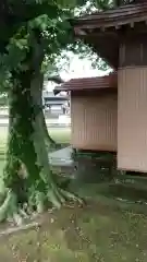 天神社の本殿