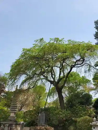 上合寺(福島県)