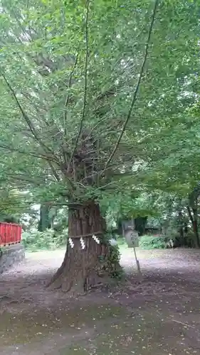 津島神社のその他建物
