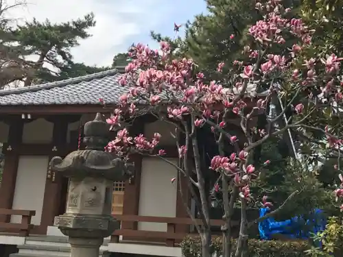 金剛院（仏性寺）の本殿・本堂